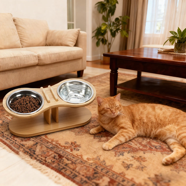 LUXENEST HOME Adjustable Tilted Pet Feeding Stand with bowls on a wooden base and a cat nearby.