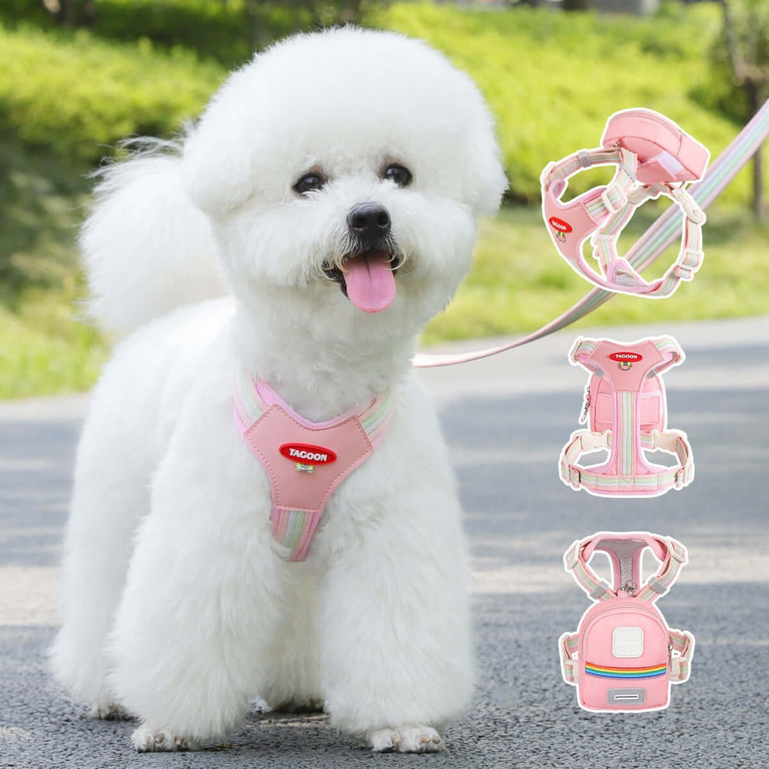 LUXENEST HOME Pet Leashes & Collars Collection