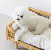 LUXENEST HOME Natural Rattan Square Pet Bed