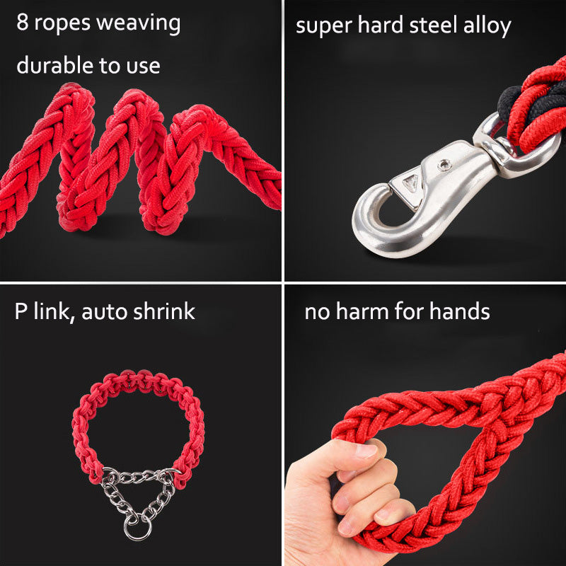 LUXENEST HOME Heavy-Duty Nylon Dog Leash Set with a golden retriever on a leash in a park