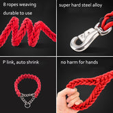LUXENEST HOME Heavy-Duty Nylon Dog Leash Set with a golden retriever on a leash in a park