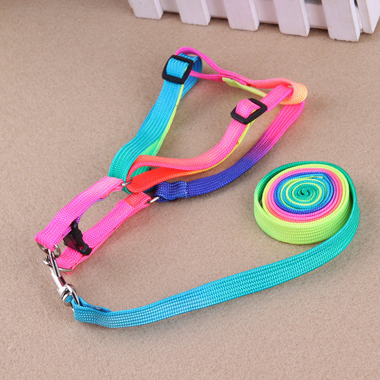 LUXENEST HOME colorful dog leash and harness set perfect for daily walks with pets.