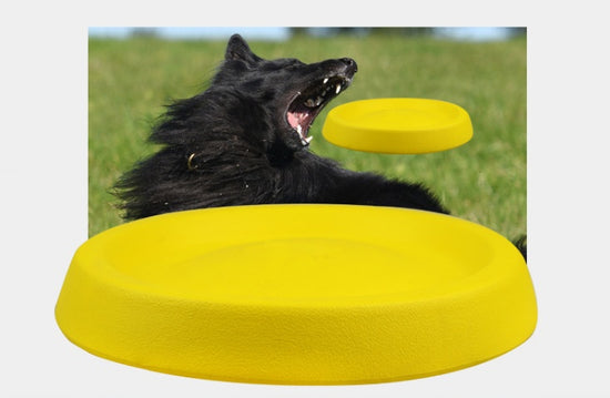 LUXENEST HOME Durable Plastic Dog Fetch Toy