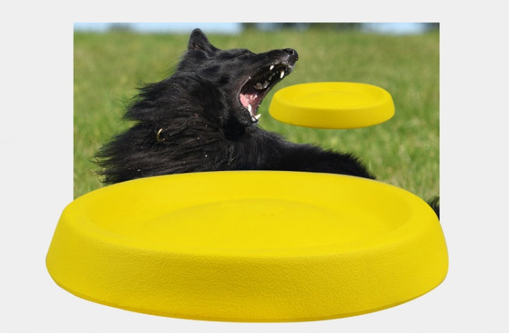 LUXENEST HOME Durable Plastic Dog Fetch Toy