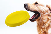 LUXENEST HOME Durable Plastic Dog Fetch Toy