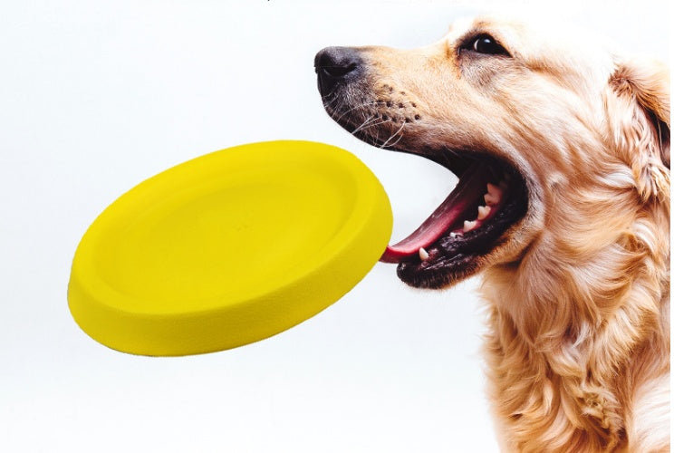 LUXENEST HOME Durable Plastic Dog Fetch Toy
