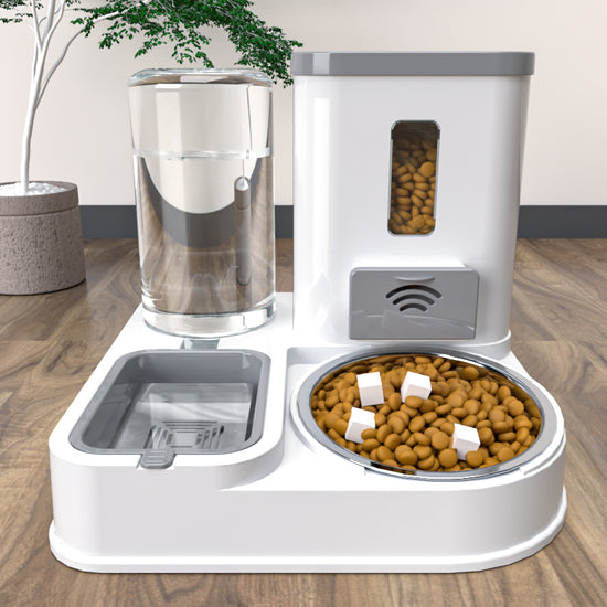 LUXENEST HOME Pet Feeding & Drinking Station Bowl with food and water for cats and dogs