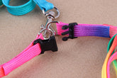 LUXENEST HOME colorful dog leash and harness set perfect for daily walks with pets.