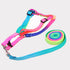 LUXENEST HOME colorful dog leash and harness set perfect for daily walks with pets.