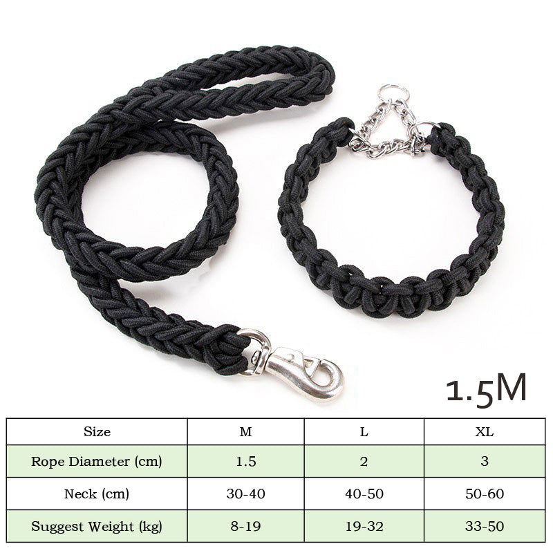 LUXENEST HOME Heavy-Duty Nylon Dog Leash Set with a golden retriever on a leash in a park