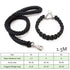 LUXENEST HOME Heavy-Duty Nylon Dog Leash Set with a golden retriever on a leash in a park