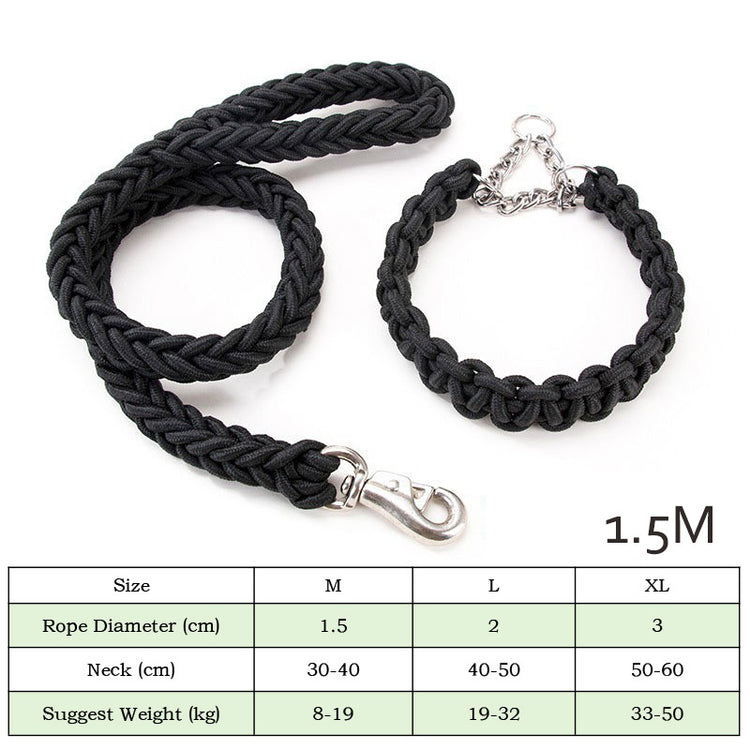 LUXENEST HOME Heavy-Duty Nylon Dog Leash Set with a golden retriever on a leash in a park