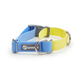 LUXENEST HOME Waterproof Plastic Dog Collar and Traction Leash Set