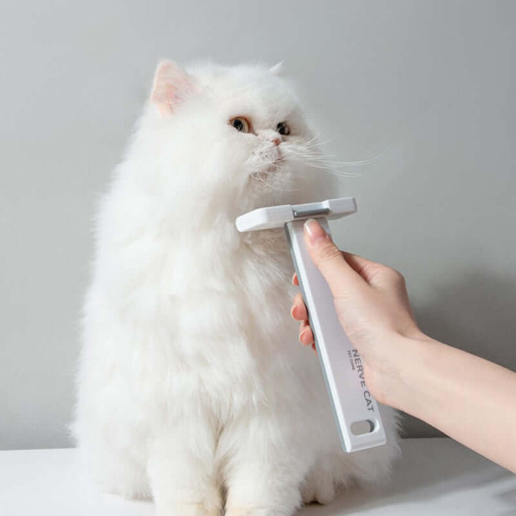 LUXENEST HOME Floating Hair Removal Pet Brush