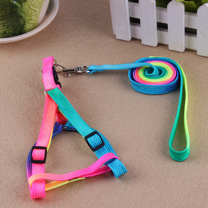LUXENEST HOME colorful dog leash and harness set perfect for daily walks with pets.
