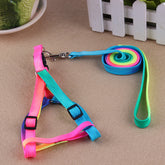 LUXENEST HOME colorful dog leash and harness set perfect for daily walks with pets.