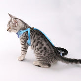 LUXENEST HOME Adjustable Pet Chest and Back Harness with Leash