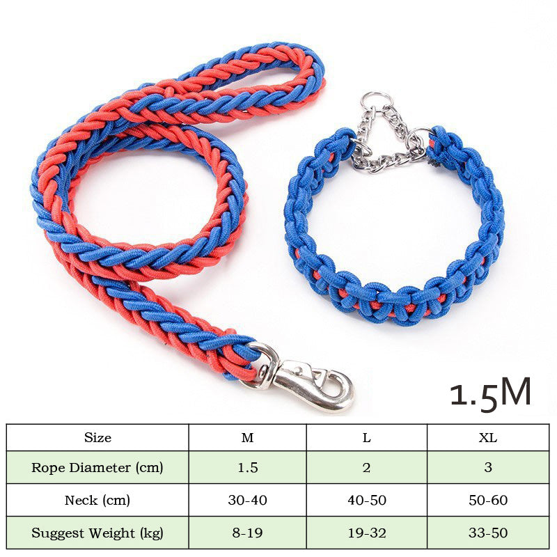LUXENEST HOME Heavy-Duty Nylon Dog Leash Set with a golden retriever on a leash in a park