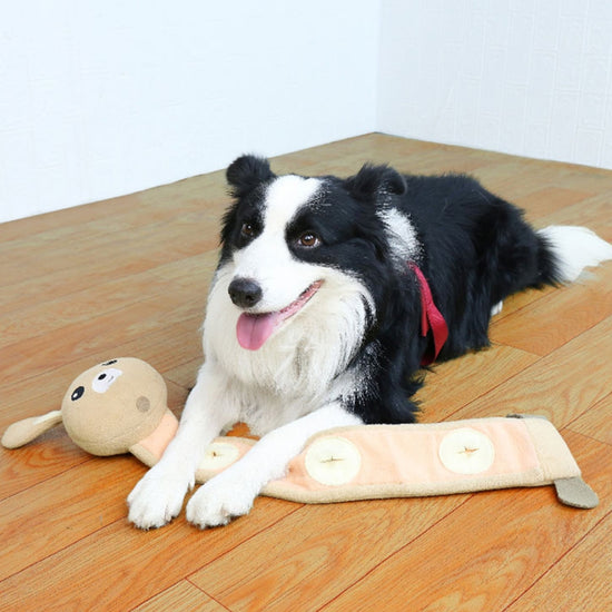 LUXENEST HOME Dog Snuffle Training Squeaky Toy