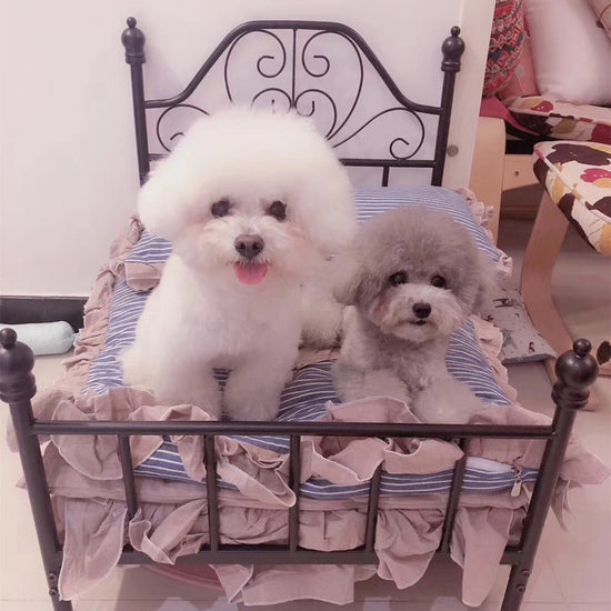 LUXENEST HOME Hanging Swing Pet Cradle Bed for Cats and Dogs