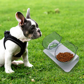LUXENEST HOME Kitten Cervical Support Feeding Bowl with two bowls filled with pet food on a green background.