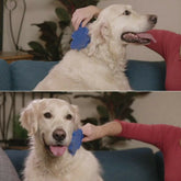 LUXENEST HOME Gentle Pet Hair Remover Brush