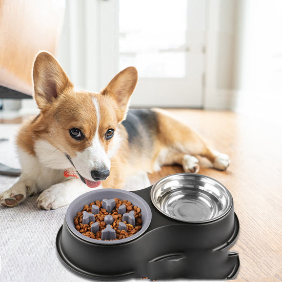LUXENEST HOME Removable Pet Slow Feeding Bowl with dog enjoying meal on the floor.