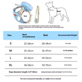 LUXENEST HOME Portable Outdoor Travel Dog Leash for Small and Medium Dogs