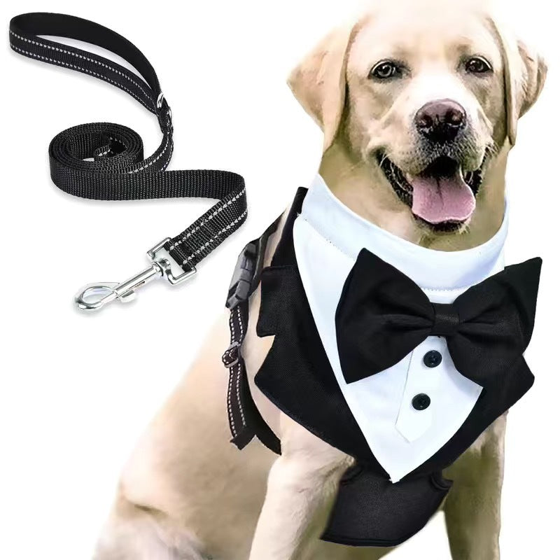 LUXENEST HOME Anti-Break Pet Holding Rope Leash