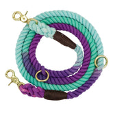 LUXENEST HOME Gradient Color Dog Collar & Leash set featuring vibrant colors and durable design for all dog sizes.