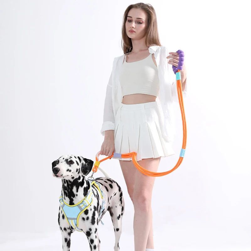 LUXENEST HOME Foam Handle Pet Traction Leash in use with a woman and her dog, showcasing colorful handle and leash design.