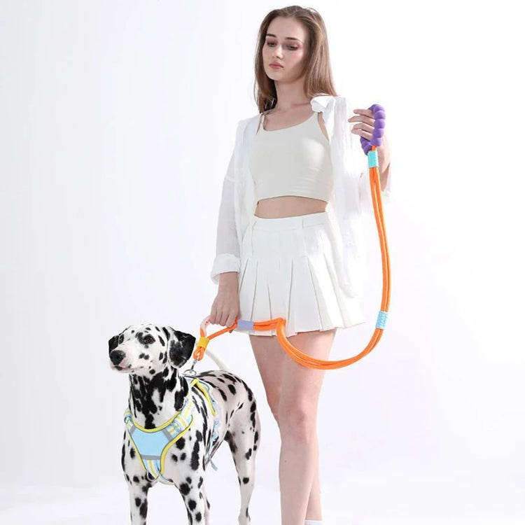 LUXENEST HOME Foam Handle Pet Traction Leash in use with a woman and her dog, showcasing colorful handle and leash design.