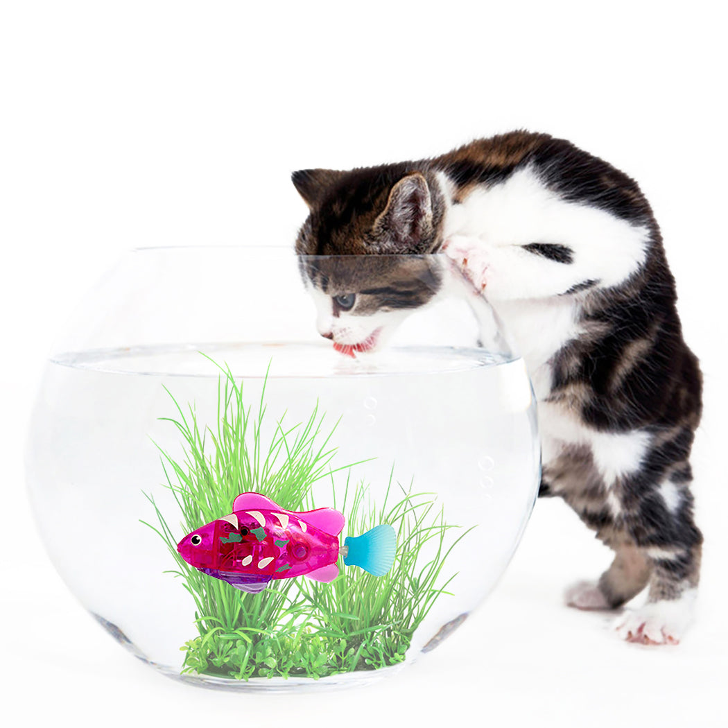 LUXENEST HOME Electronic Fish Cat Toy with LED