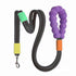 LUXENEST HOME Foam Handle Pet Traction Leash in use with a woman and her dog, showcasing colorful handle and leash design.