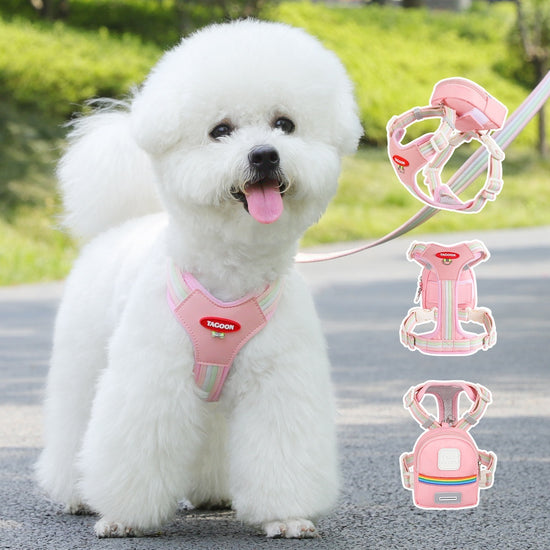 LUXENEST HOME Portable Outdoor Travel Dog Leash for Small and Medium Dogs