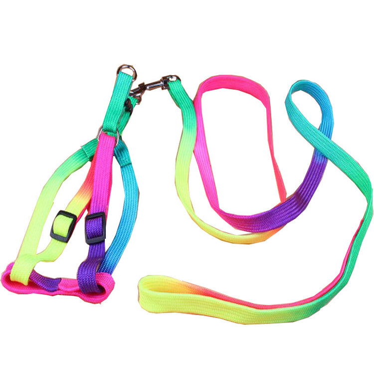LUXENEST HOME colorful dog leash and harness set perfect for daily walks with pets.