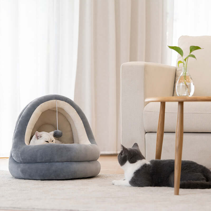 LUXENEST HOME Premium Cat House Sofa Bed with a cozy cat resting inside it, featuring soft plush fabric.