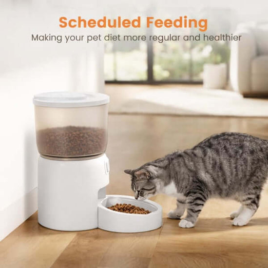 LUXENEST HOME Smart 3L Automatic Pet Feeder dispenses dry kibble with app control for busy pet owners.