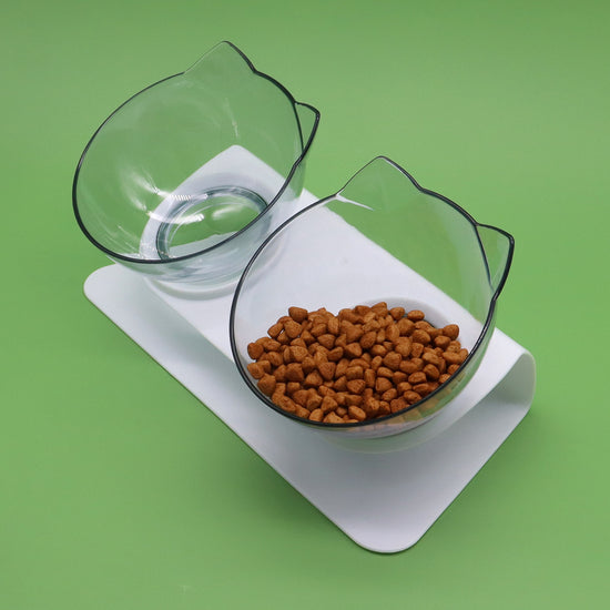 LUXENEST HOME Kitten Cervical Support Feeding Bowl with two bowls filled with pet food on a green background.