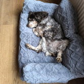 LUXENEST HOME Warming Pet Sofa Bed Washable
