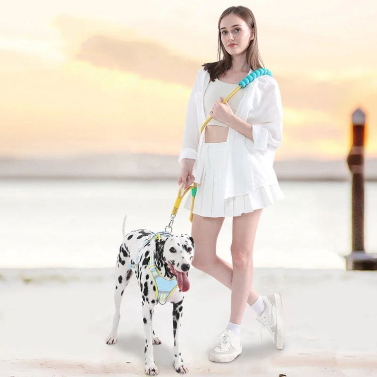 LUXENEST HOME Foam Handle Pet Traction Leash in use with a woman and her dog, showcasing colorful handle and leash design.