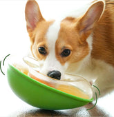 LUXENEST HOME Anti-Tumble Avocado Pet Bowl with a happy dog enjoying its meal.