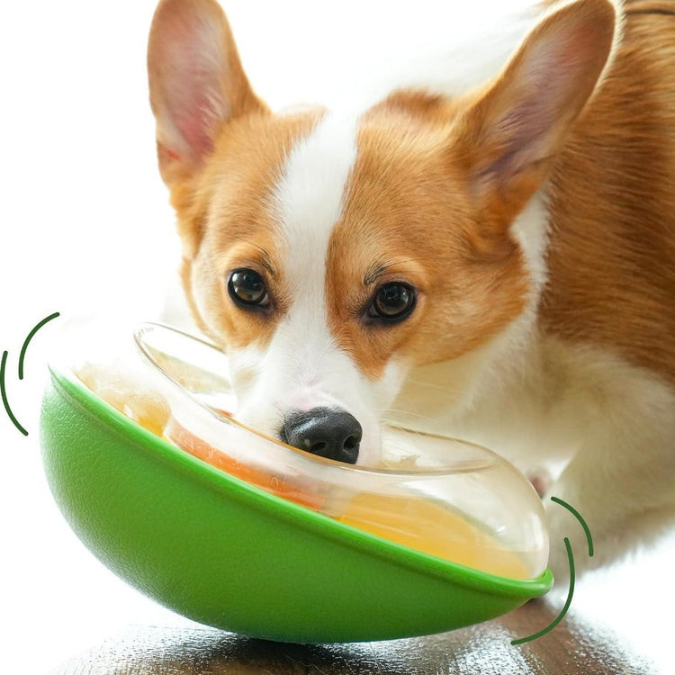 LUXENEST HOME Anti-Tumble Avocado Pet Bowl with a happy dog enjoying its meal.