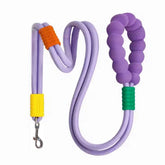 LUXENEST HOME Foam Handle Pet Traction Leash in use with a woman and her dog, showcasing colorful handle and leash design.