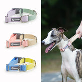 LUXENEST HOME Waterproof Plastic Dog Collar and Traction Leash Set